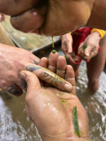 /album/fotogaleria-mentawai-ostrov-ludozrutov-zajazd-vy-a-my/mentaway-siberut-zajazd-jamajkanita-94-jpg/